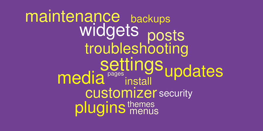 wordcloud of basic WordPress terms from the talk titles and descriptions